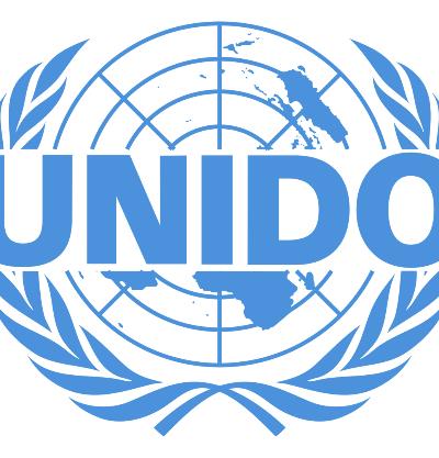 عضویت ایران در دو نهاد اصلی سازمان توسعه صنعتی ملل متحد (UNIDO)