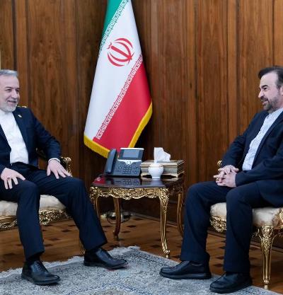 دیدار نماینده دائم ایران نزد دفتر سازمان ملل متحد در وین با وزیر امور خارجه